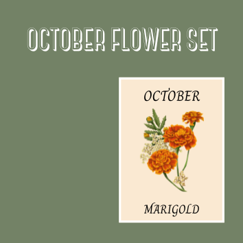 BIRTH FLOWER SETS