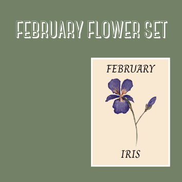 BIRTH FLOWER SETS