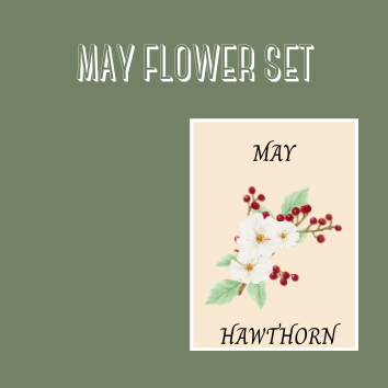 BIRTH FLOWER SETS
