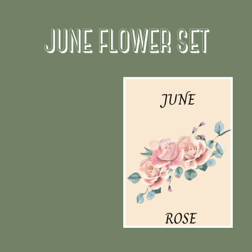 BIRTH FLOWER SETS