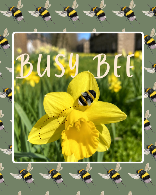 BUSY BEE STUDS