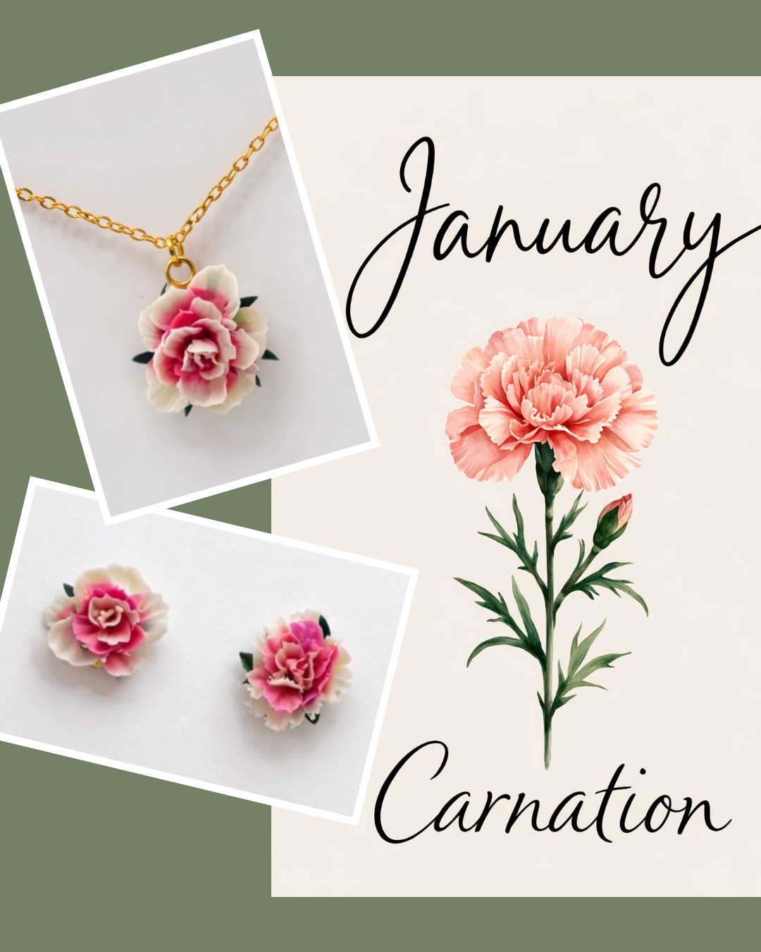 January's Carnation