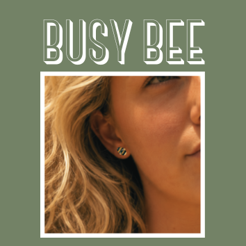 BUSY BEE STUDS