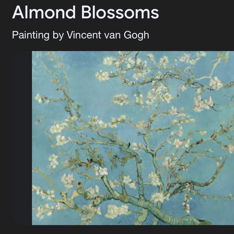 The starry blossom collection
