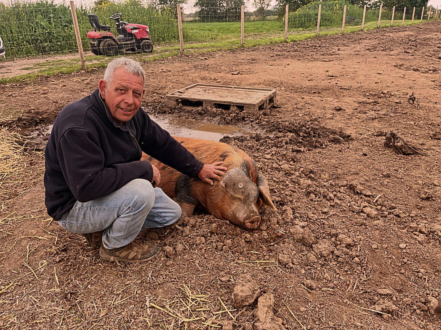 PIGGY'S