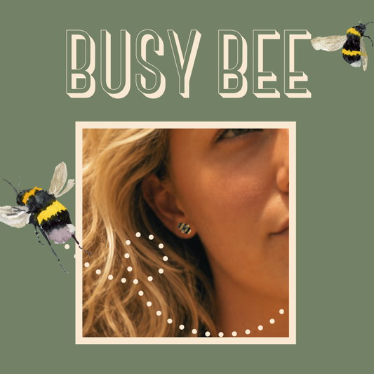 BUSY BEE STUDS